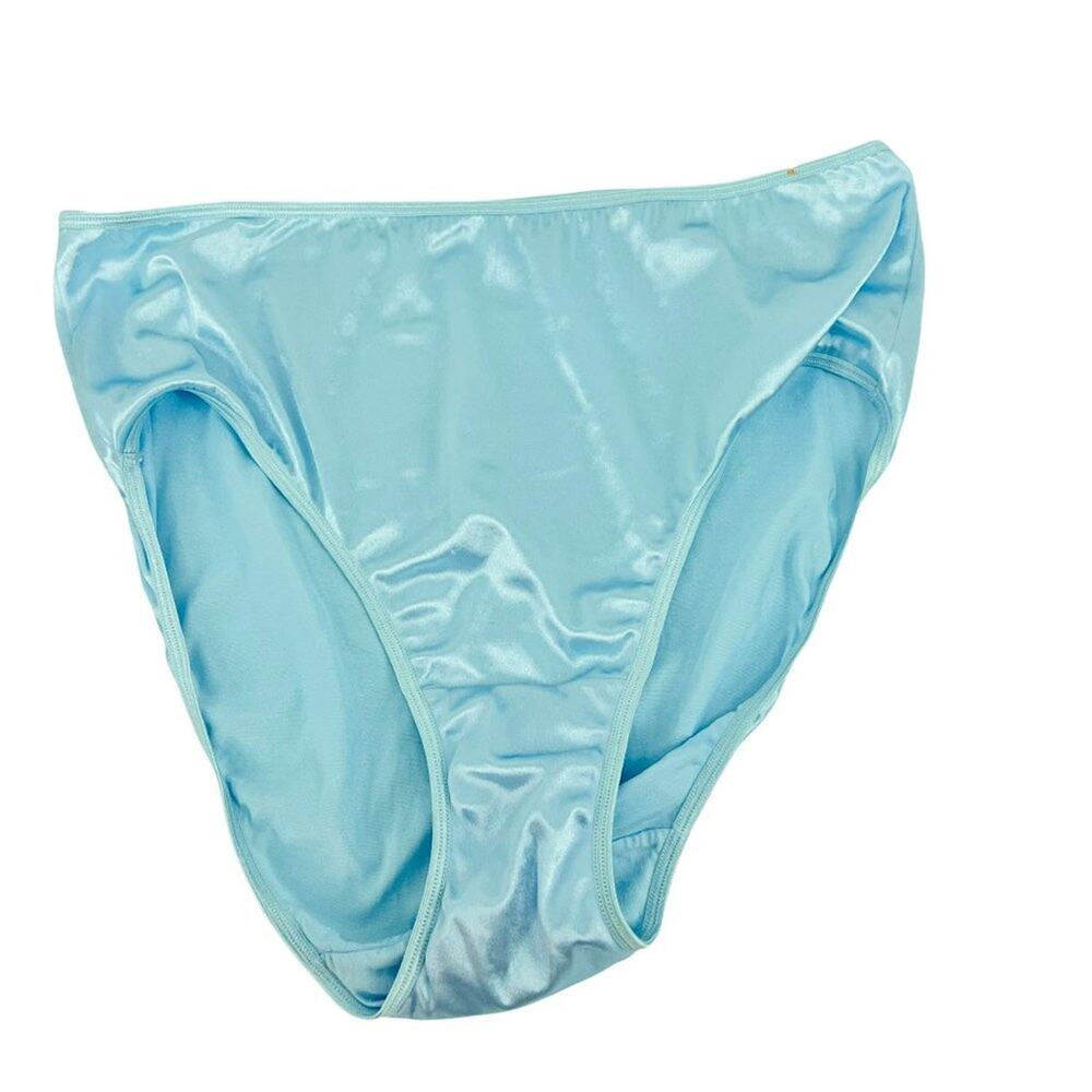 Vintage Lane Bryant Cacique Second Skin Liquid High Gloss Satin Panty Granny 18/
